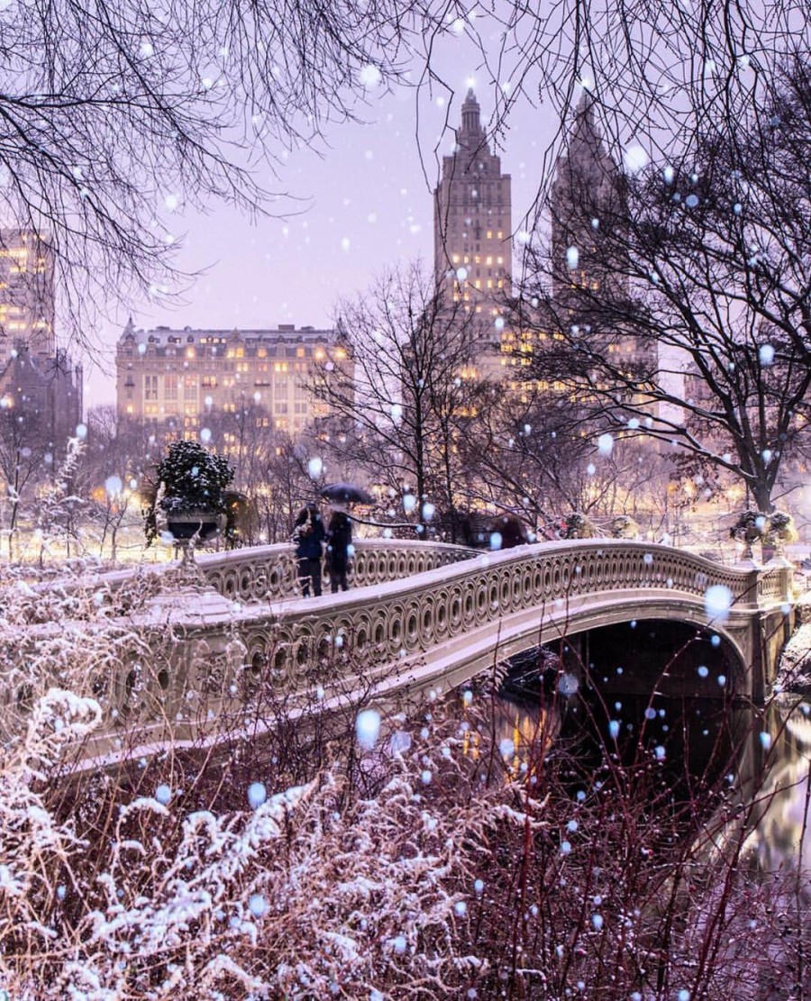 Central Park, New York