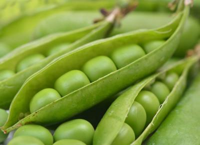 Zielone puree z groszku chroni przed osteoporozą.