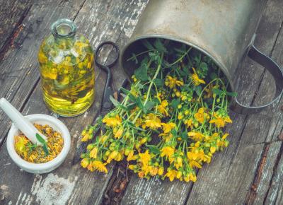 Trzy zioła, które złagodzą niepokój.