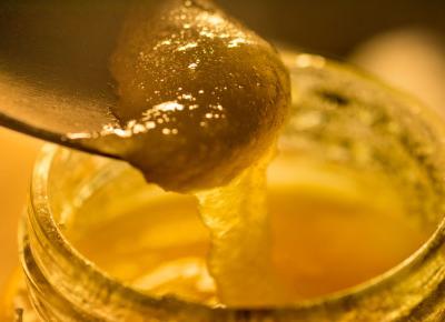 Miód z Manuka na zapalenie zatok.