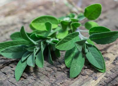 Skuteczne środki przeciw poceniu.