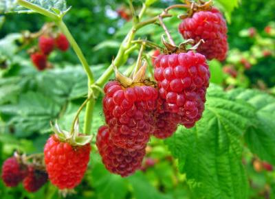 Cztery naturalne sposoby na bezsenność.