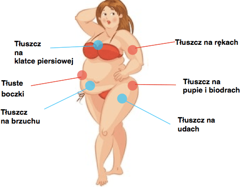 Dieta Low Carb - sposób, dzięki któremu zgubisz 10kg w 30 dni! Czy działa?