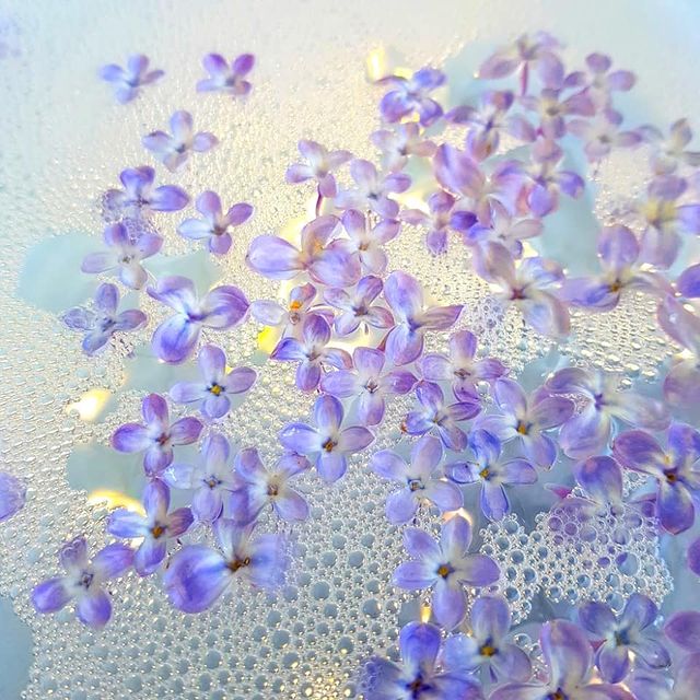 💜💜💜💜💜💜💜