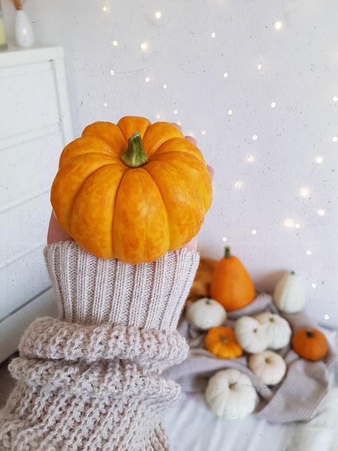 🎃🧡🎃🧡🎃🧡