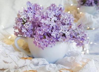 Cup full of lilac flowers 💜