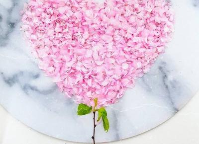 🌸🌸🌸🌸🌸🌸🌸