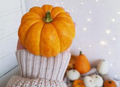 🎃🧡🎃🧡🎃🧡