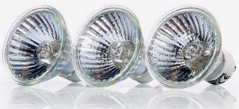 Halogen reflektorowy Philips z Biedronki