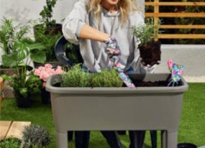 Rozsadnik (szklarnia balkonowa) Prosperplast z Biedronki