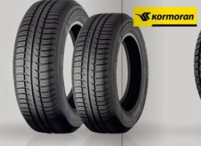 Opony Dębica i Kormoran z Biedronki