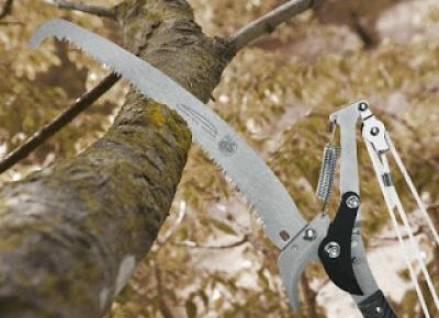 Nożyce teleskopowe Florabest z Lidla