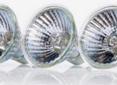 Halogen reflektorowy Philips z Biedronki