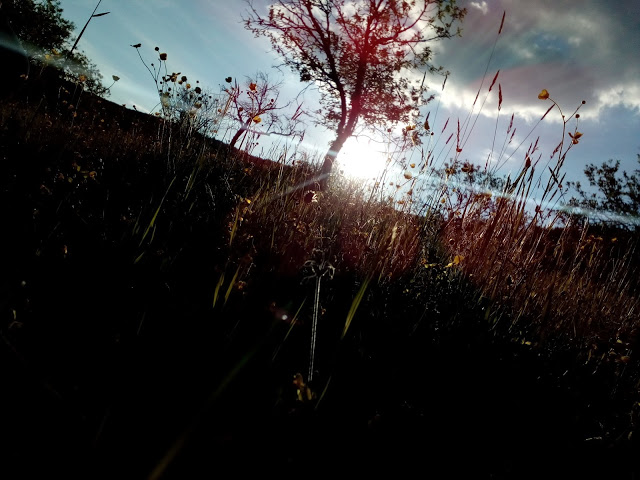 BlogWiec ~ dzień 1 ~ słońce = wakacje! ☀