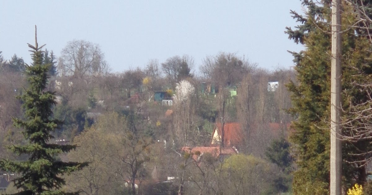 7 zdjęć z Gdańska.: Magiczne miejsce nad wodą. Część pierwsza.