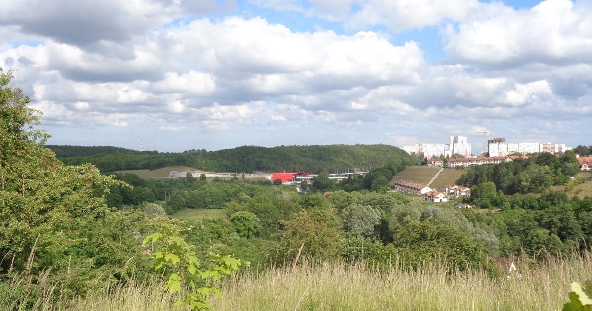 7 zdjęć z Gdańska.: Siedem pomysłów na letni spacer po Gdańsku :)