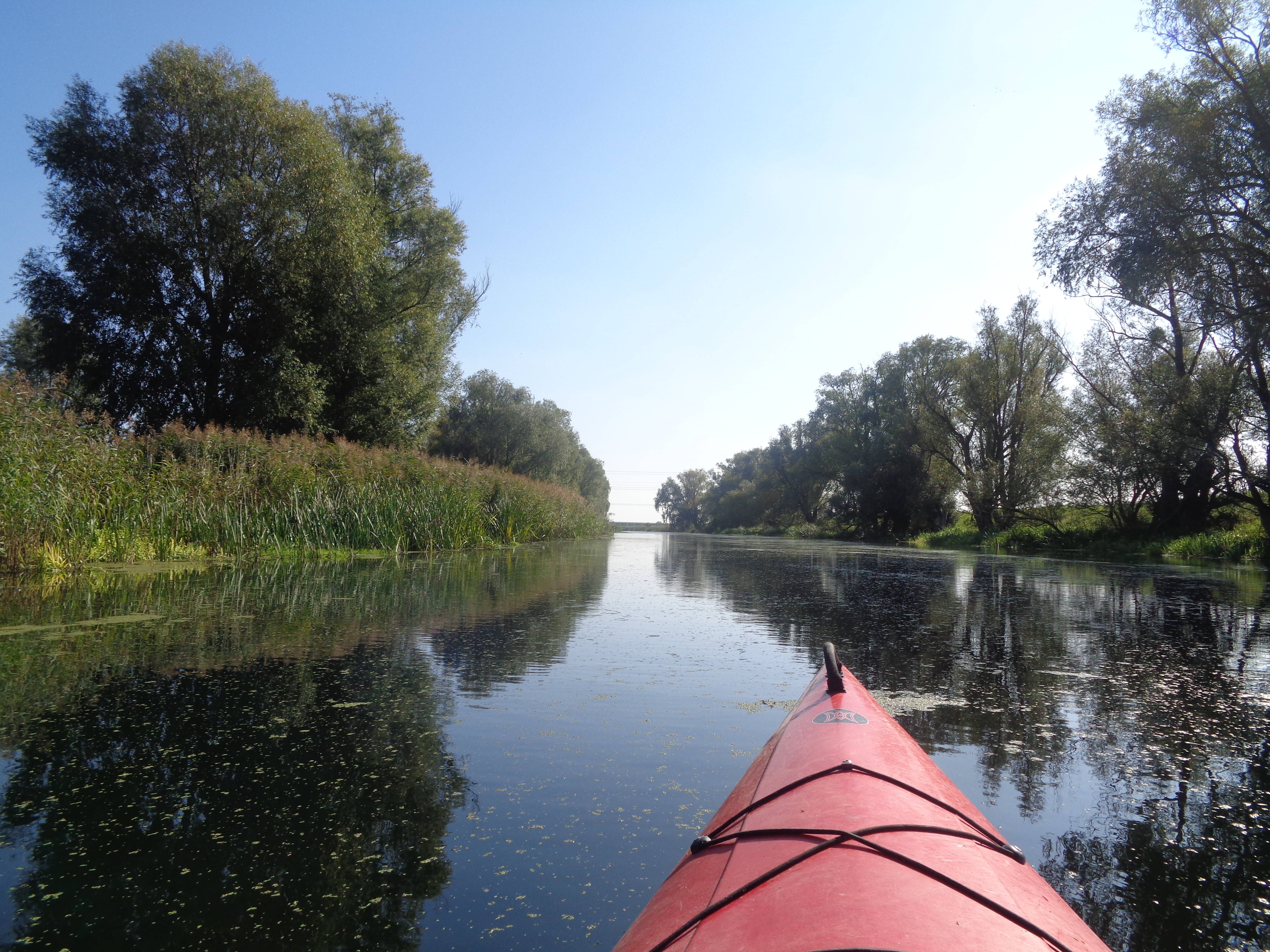 7 zdjęć z Gdańska.: 20 km kajakiem po Gdańsku. Część druga.