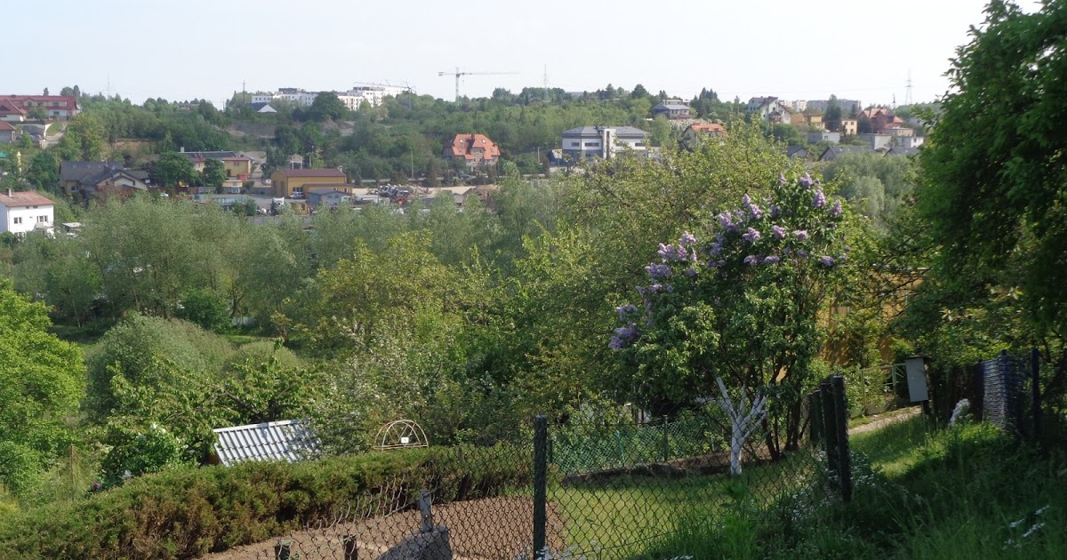 7 zdjęć z Gdańska.: Tajemnicze stawy i działkowe pejzaże. Część druga.