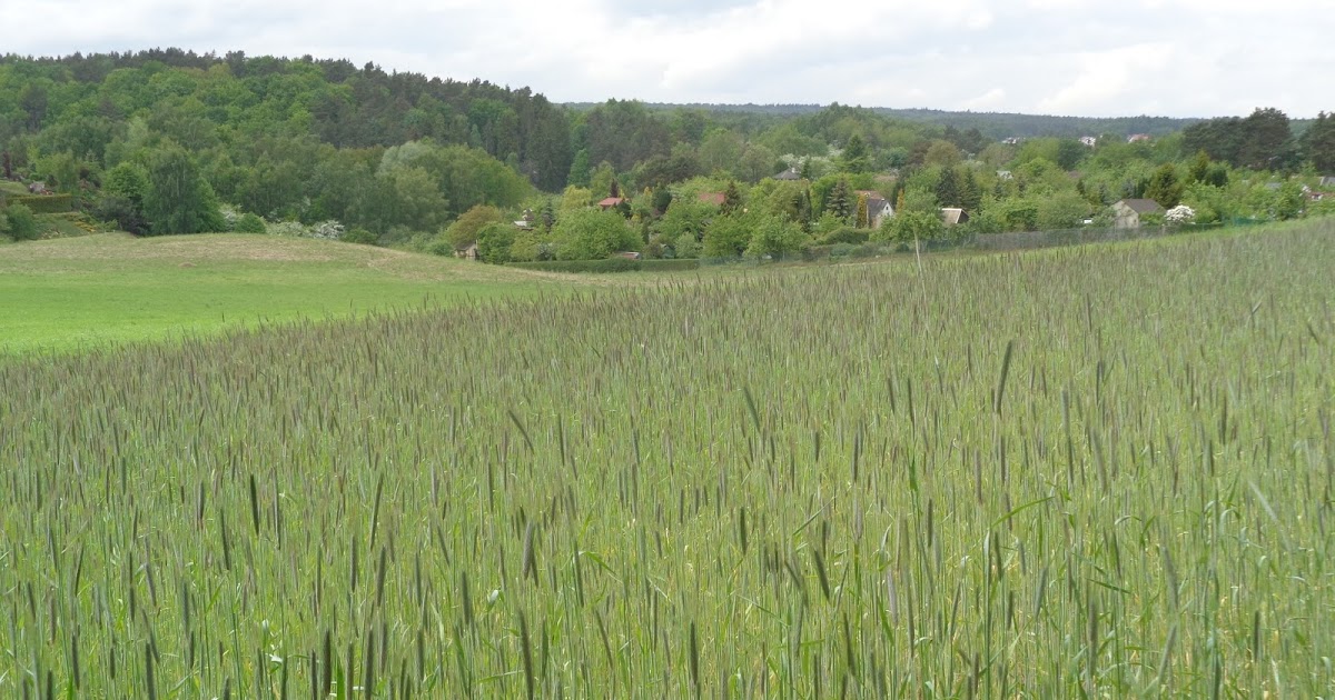 7 zdjęć z Gdańska.: Top siedem naturalnych punktów widokowych w Gdańsku.