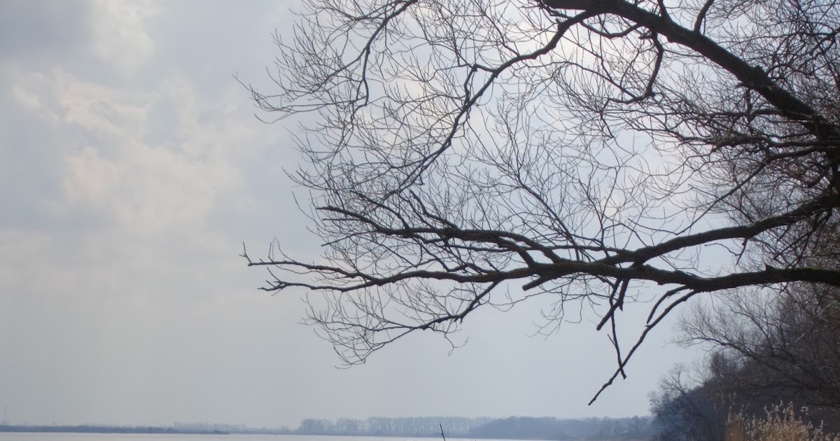 7 zdjęć z Gdańska.: Kojący spacer nad Przekopem Wisły.