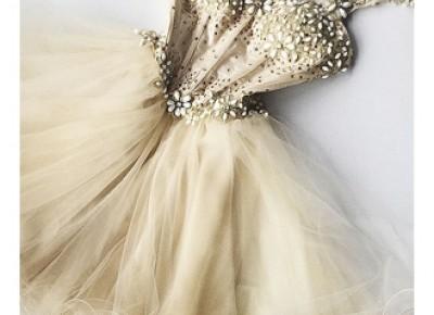 Beaded Flowers Champagne Homecoming Dresses 2017 cheap Organza Short Appliques Hoco Dress_2017 Homecoming Dresses_Wedding Dresses | Prom Dresses | Evening Formal Gowns | Suzhoudress.com