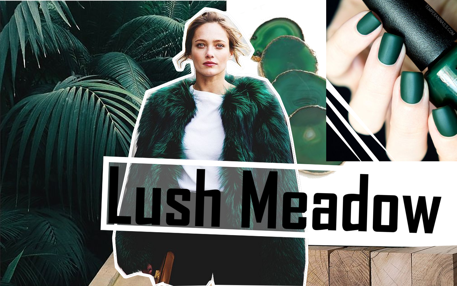 Lush Meadow - color of the season fall/winter 2016/2017 - mów mi Kasia