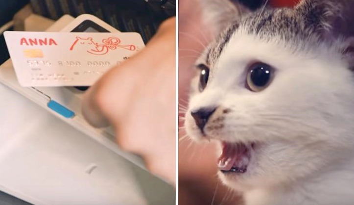 MIAUCZĄCA KARTA DEBETOWA!