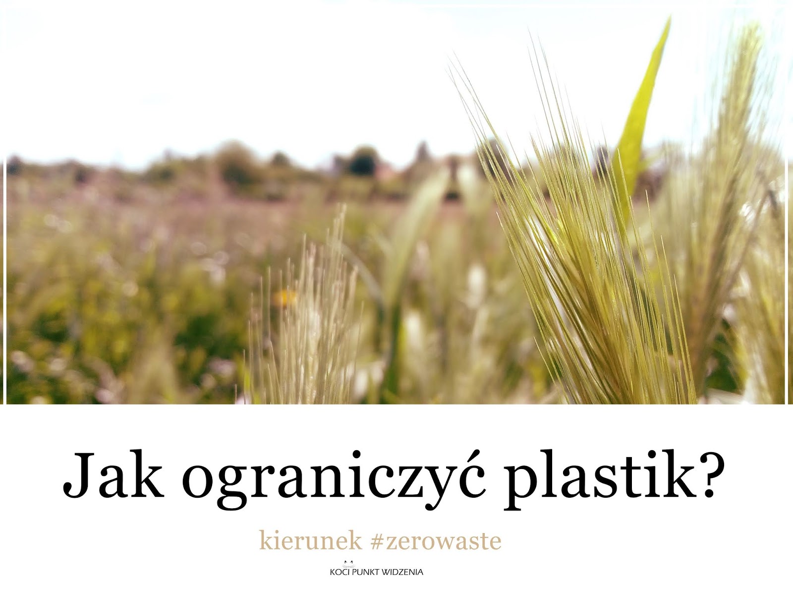 Koci punkt widzenia: 12 prostych sposobów na ograniczenie plastikowych śmieci | kierunek #zerowaste