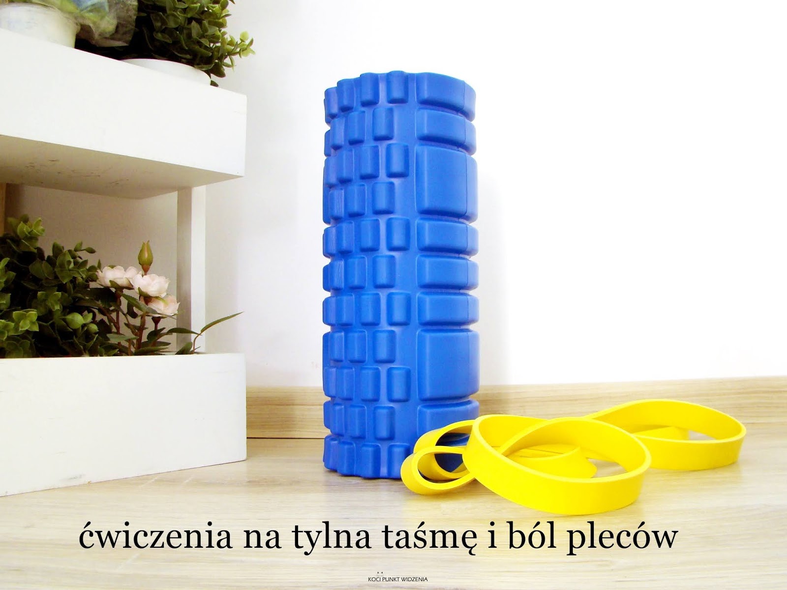 Koci punkt widzenia: Tylna taśma - czym jest? Ćwiczenia na pogłębienie skłonów (i ból pleców)