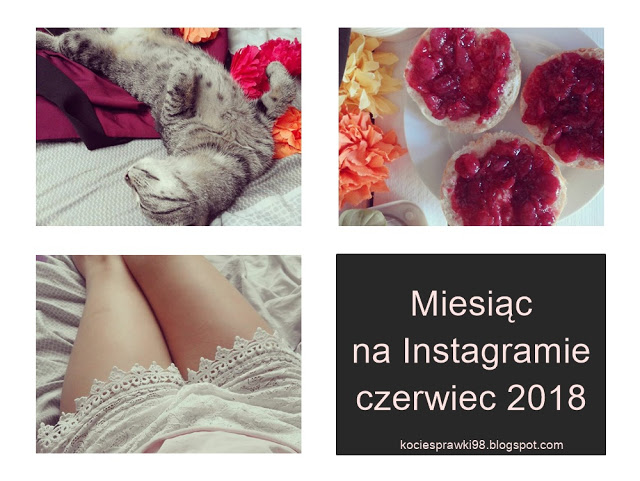 Koci punkt widzenia: Koty, jedzenie i ja | Instagram