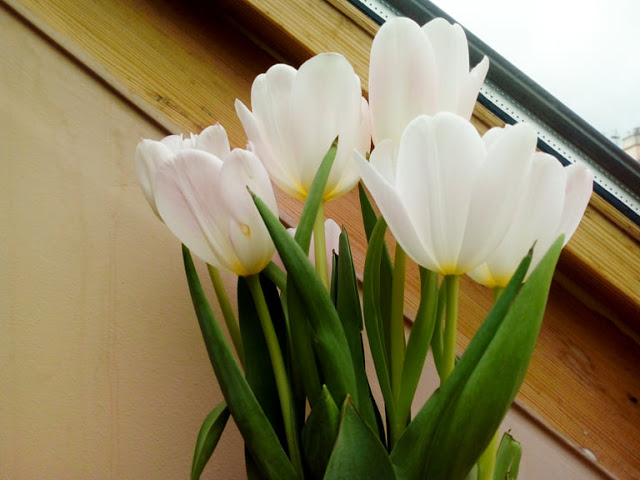 Koci punkt widzenia: Pierwsza lekcja życiowa od roku 2019