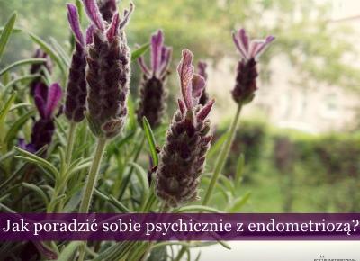 Koci punkt widzenia: Jak poradzić sobie psychicznie z endometriozą?