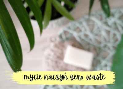 Koci punkt widzenia: Płyn do naczyń w kostce i myjka do naczyń | zero waste