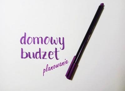 Koci punkt widzenia: Domowy budżet - planowanie | 20-stka na swoim