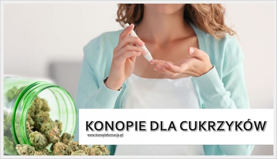 Konopie dla cukrzyków