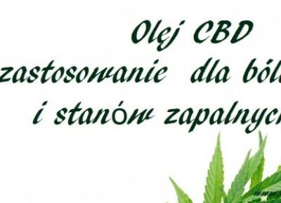 OLEJ CBD ZASTOSOWANIE DLA BÓLU, STANÓW ZAPALNYCH