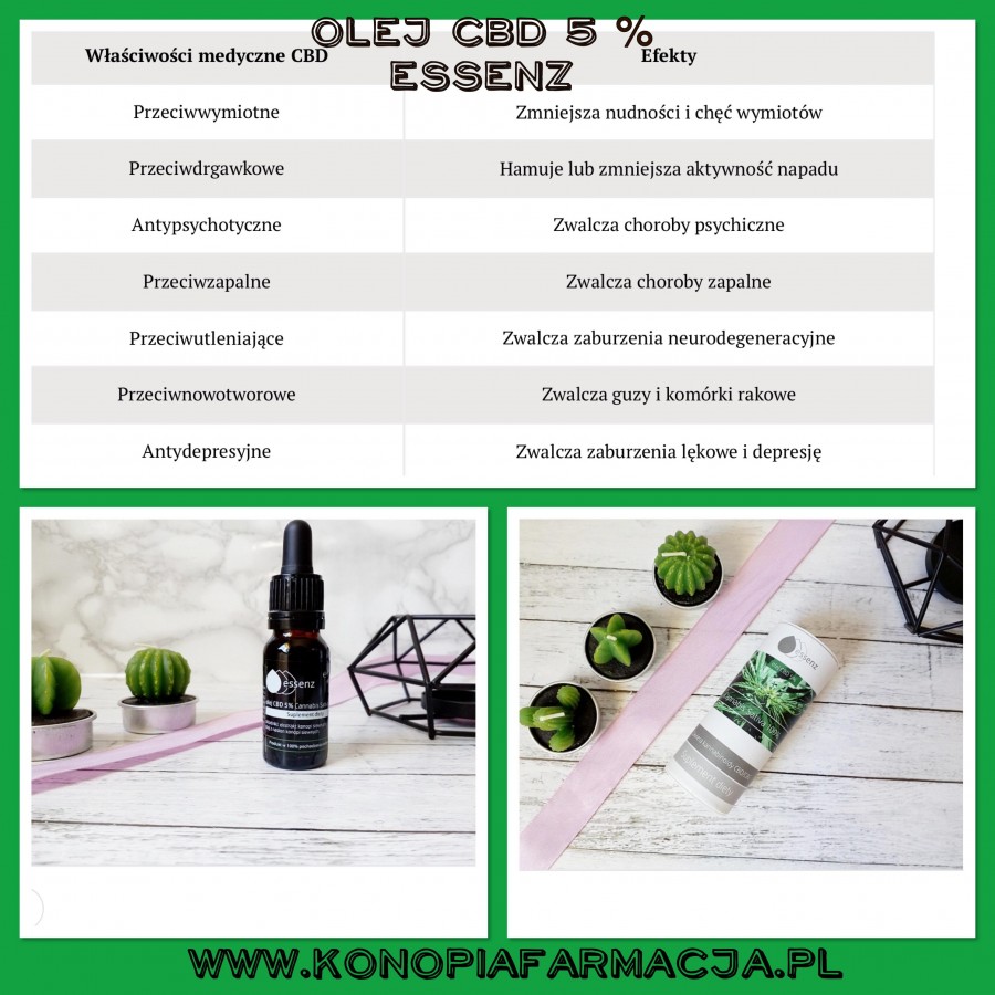 olej CBD 5 % essenz - WŁAŚCIWOŚCI