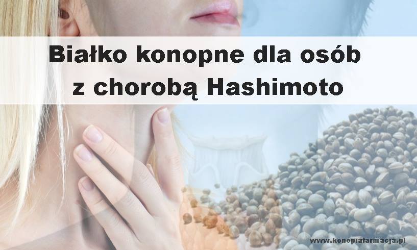 Białko konopne w diecie osób z chorobą Hashimoto