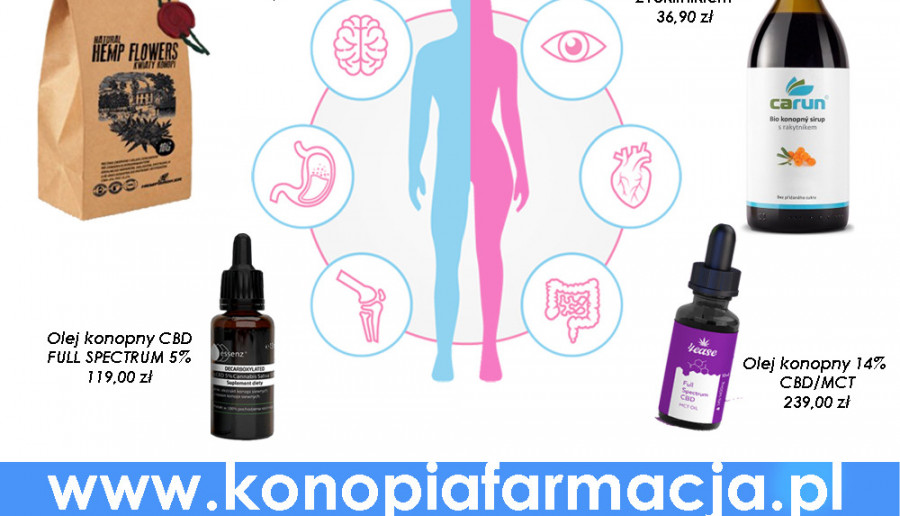 Konopne produkty – Gwiazdy testują CBD !