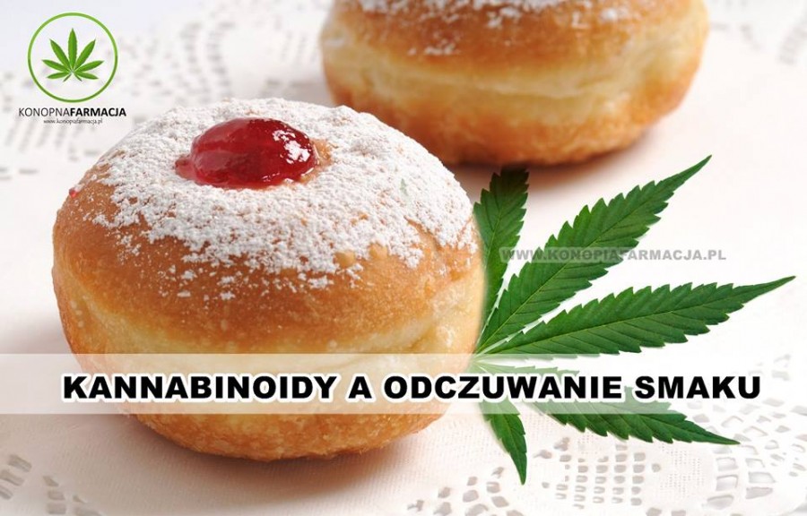 Tłusty Czwartek - kannabinoidy w odczuwaniu smaku