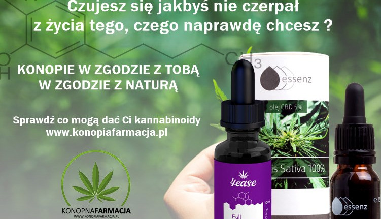 Jak działają oleje CBD?