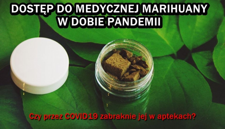 Dostęp do medycznej marihuany w dobie pandemii . Czy przez COVID-19 zabraknie jej w aptekach ?