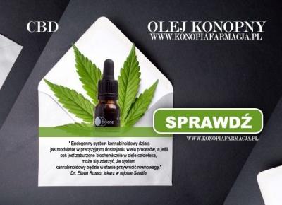 olej CBD 5 % essenz - Zainteresowanie endokannabinoidami