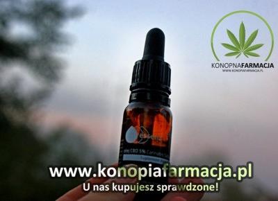 Sprawdzone i bezpieczne CBD