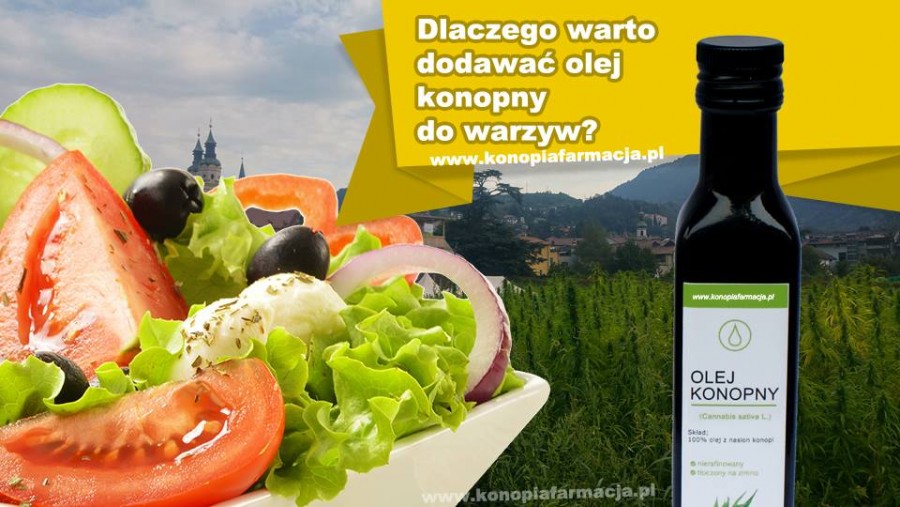 Olej konopny Dlaczego warto dodawać do niektórych produktów?