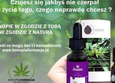 Jak działają oleje CBD?