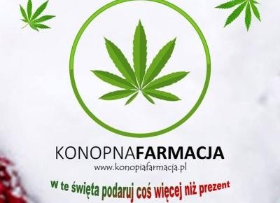 Produkty konopne czyli oryginalne niezwykłe prezenty pod Choinkę