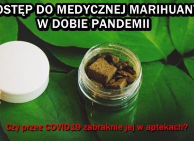 Dostęp do medycznej marihuany w dobie pandemii . Czy przez COVID-19 zabraknie jej w aptekach ?