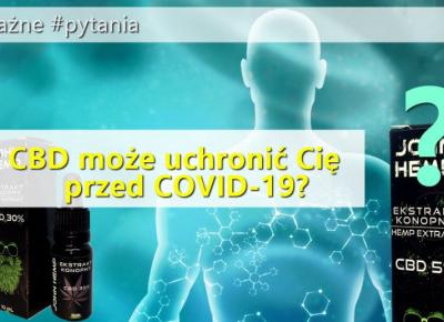 Czy CBD uchroni Cię przed COVID-19?