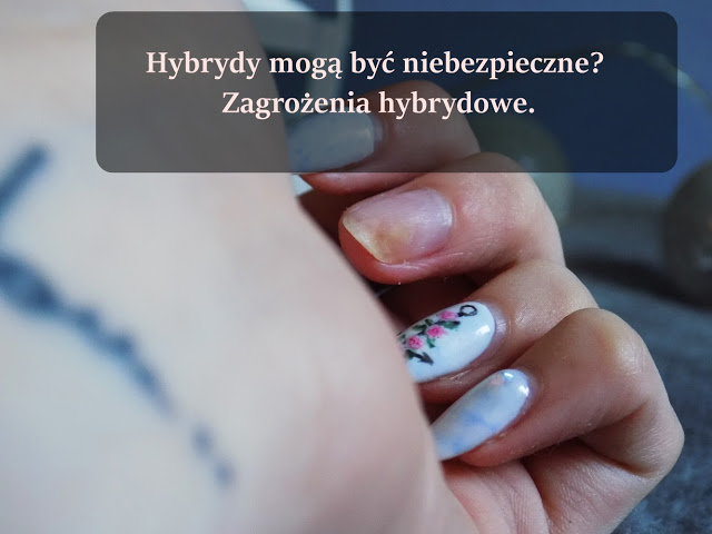 Hybrydy mogą być niebezpieczne? Zagrożenia hybrydowe. - Ksanaru